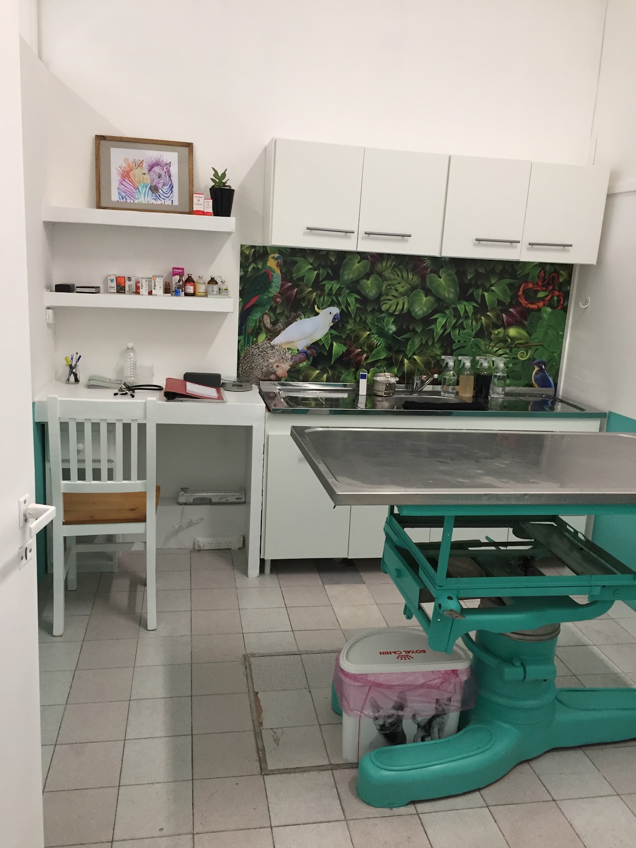 Fachada moderna y recepción de Veterinaria Espacio Animal en Villa Urquiza